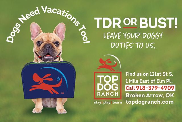 Top best sale dog ranch